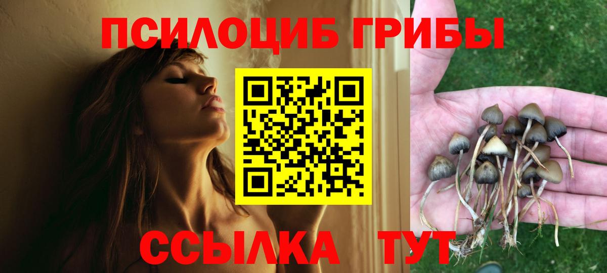 Галлюциногенные грибы ЛСД  Псилоцибиновые грибы Psilocybe  Вход с VPN  Алушта 